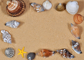 Sea shells frame on sand beach, concept of summer vacation
