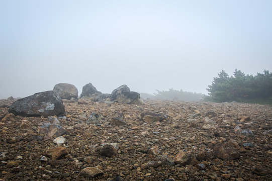 Rocks and stones on a very foggy day in Autumn - Stock image