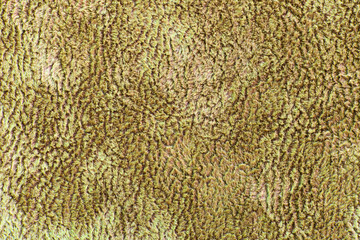 Fleecy, velor fabric background