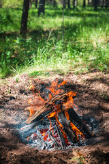 Fire. A bright flame. A breeze on the nature. Forest fires. Texture of smoking coals.