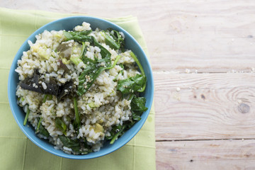 Salad healthy (rice, quinoa, wakame and spinach)