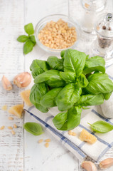 Ingredients for making green pesto sauce. Healthy Italian food. Selective focus.