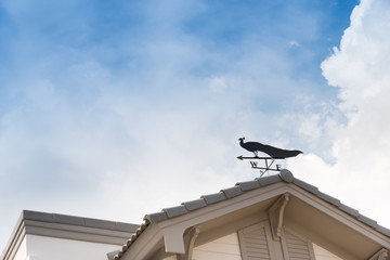 Weathervane with peacock