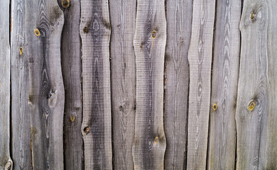 Obraz premium The old board