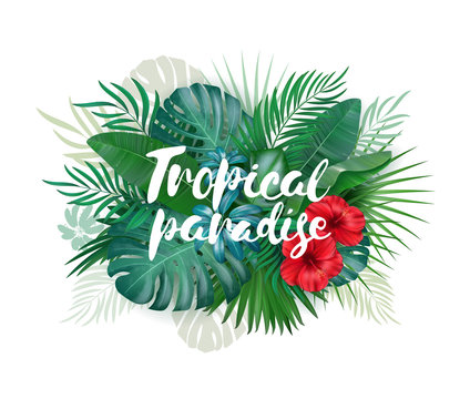 Tropical paradise label over background with leaves and flowers