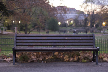 Bench