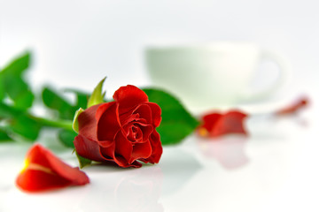 Red rose with cup of coffee in the morning