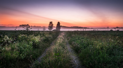 Landscape with idyllic road and fog at summer evening in Finland