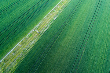 Irrigation system in wheat field