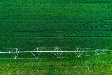 Irrigation system in wheat field