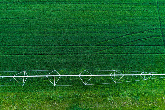Irrigation system in wheat field