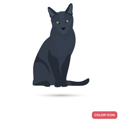 Russian Blue cat breed color flat icon for web and mobile design