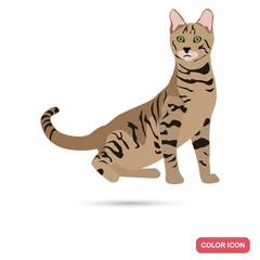 Fototapeta na wymiar Toiger cat breed color flat icon for web and mobile design