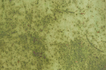 Old military tank texture