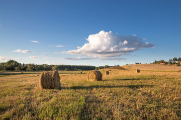 Several round haystacks, lit by the setting sun, lie on a beveled meadow under a blue sky with a big cloud