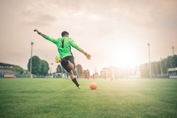 Fototapeta premium Playing a football match