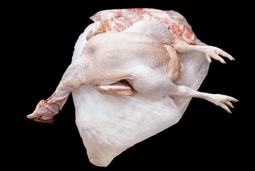 Whole chicken isolate with path © thornchai
