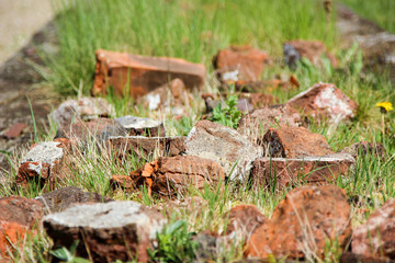 Bricks on a meadow