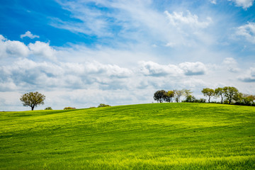 Paysage du Val d'Orcia en Toscane