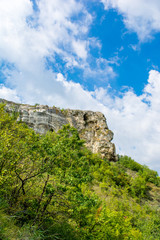Fototapeta na wymiar Photo of a beautiful high cliff and green plants