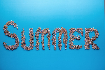 Naklejka premium Inscription (word, sign) 'Summer' made of seashells on blue paper background