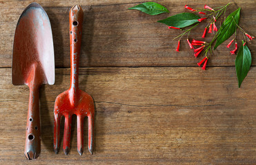 Old dirty grunge rusty gardening tools with cute flowers and leaves on dirty grunge wooden...