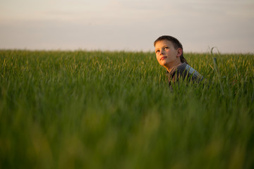 Naklejka na ściany i meble The teenager lies in the tall grass at sunset