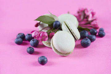 Close up of sweet macaroons with blueberries