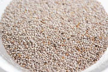 ホワイト・チアシード