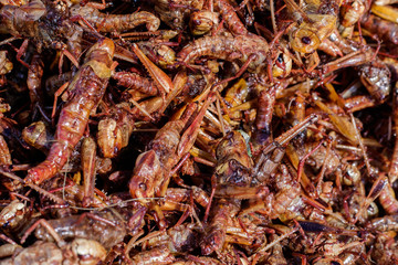 Entomophagy from insect