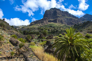 Masca Gorge view. Spain. Tenerife