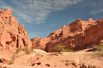 Fototapeta premium Argentina - Quebrada de las Conchas 