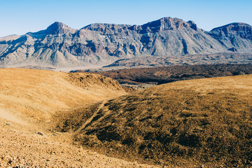 Volcanic landscape with dry desert plants in the Canary Islands, Spain