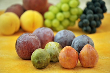 みんな大好き静物