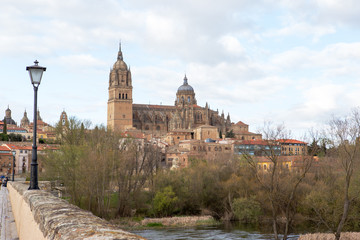 Fototapeta na wymiar New Cathedral and Roman Bridge, Salamanca, Spain