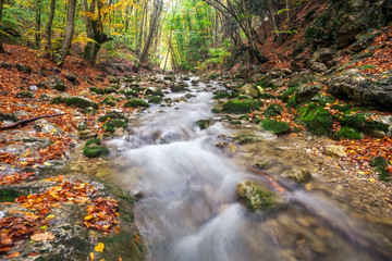 Beautiful autumn landscape with mountain river and colorful trees. Mountain forest