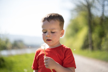 Happy little boy blowing dandelion seeds away with his eyes closed.Sunny summer