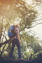 Young man standing on tree in the forest.