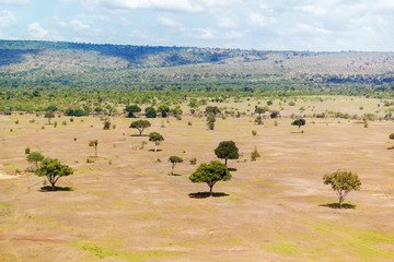 Fototapeta na wymiar view to maasai mara savannah landscape in africa