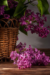 Still life with lilac