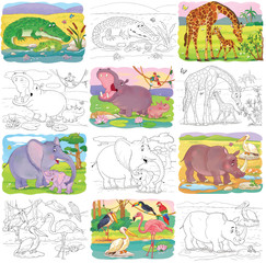 At the zoo. Cute African animals. Set of illustrations for children. Coloring page. Cute and funny cartoon characters