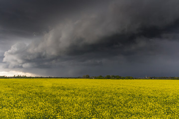 A weather front rolls in across rapeseed fields in Lechlade, Gloucestershire, UK
