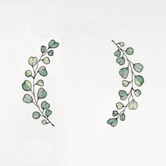 Watercolor wreath with eucalyptus leaves