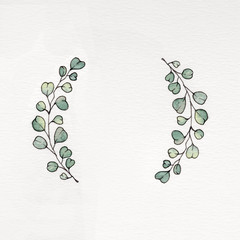 Watercolor wreath with eucalyptus leaves