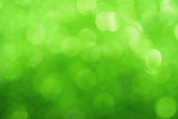 Fresh green bokeh lights abstract background