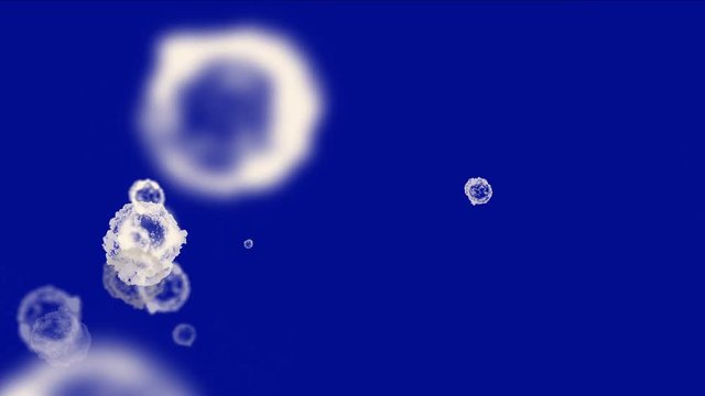 4k Abstract cells virus dust particles background.
