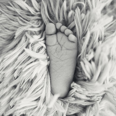 Newborn baby feet on fur blanket