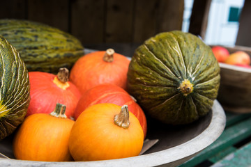 Various ripe pumpkins displayed during farmers market. Fresh bio pumpkins in grocery store or supermarket