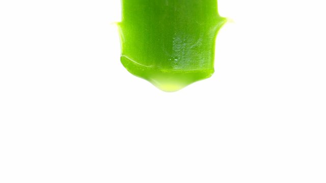 aloe leaf with dripping clear juice isolated