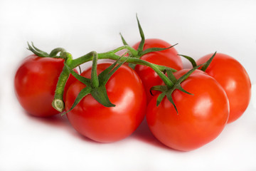 isolated red tomatoes on white background